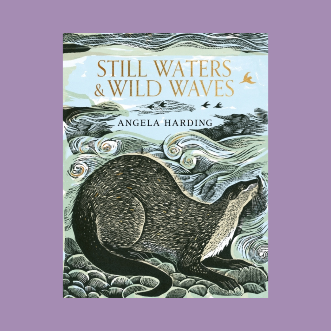 Signed copy - Still Waters & Wild Waves