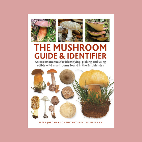 A brief introduction to fungi and how to forage without fear